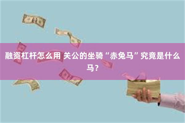 融资杠杆怎么用 关公的坐骑“赤兔马”究竟是什么马？