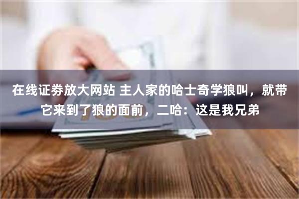 在线证劵放大网站 主人家的哈士奇学狼叫，就带它来到了狼的面前，二哈：这是我兄弟