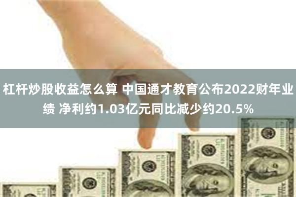 杠杆炒股收益怎么算 中国通才教育公布2022财年业绩 净利约1.03亿元同比减少约20.5%