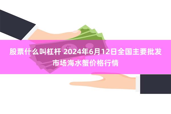 股票什么叫杠杆 2024年6月12日全国主要批发市场海水蟹价格行情