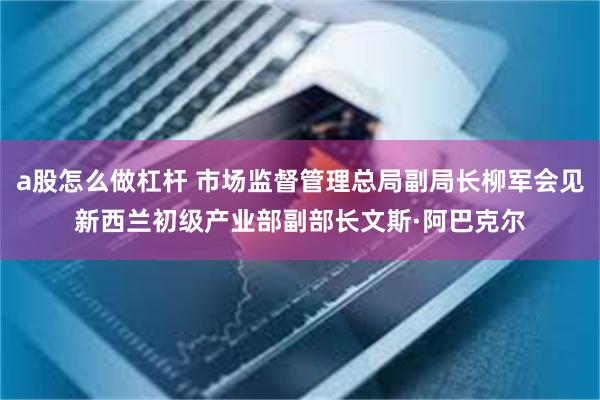 a股怎么做杠杆 市场监督管理总局副局长柳军会见新西兰初级产业部副部长文斯·阿巴克尔