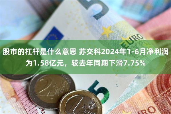 股市的杠杆是什么意思 苏交科2024年1-6月净利润为1.58亿元，较去年同期下滑7.75%