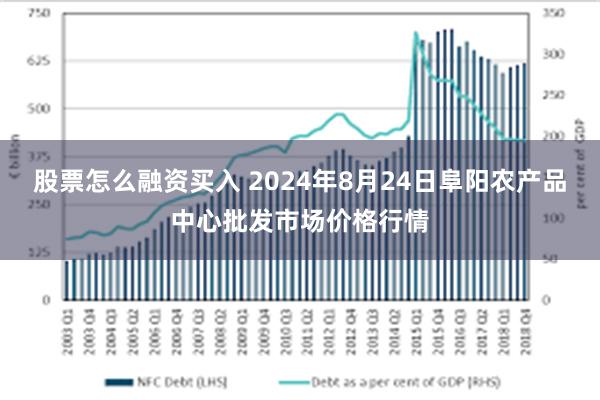 股票怎么融资买入 2024年8月24日阜阳农产品中心批发市场价格行情