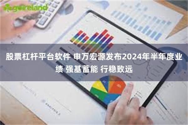 股票杠杆平台软件 申万宏源发布2024年半年度业绩 强基蓄能 行稳致远