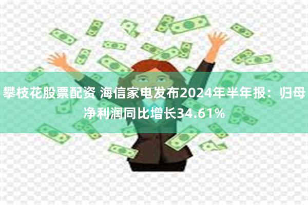 攀枝花股票配资 海信家电发布2024年半年报：归母净利润同比增长34.61%