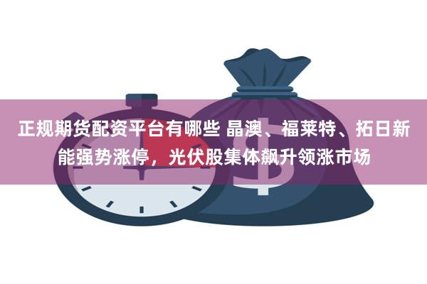 正规期货配资平台有哪些 晶澳、福莱特、拓日新能强势涨停，光伏股集体飙升领涨市场