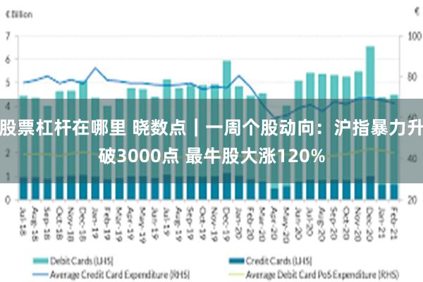 股票杠杆在哪里 晓数点｜一周个股动向：沪指暴力升破3000点 最牛股大涨120%