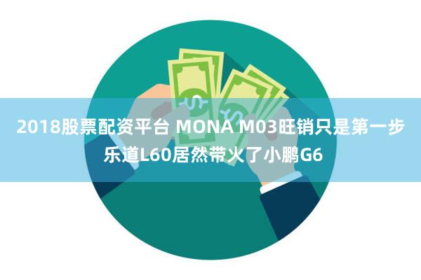 2018股票配资平台 MONA M03旺销只是第一步 乐道L60居然带火了小鹏G6