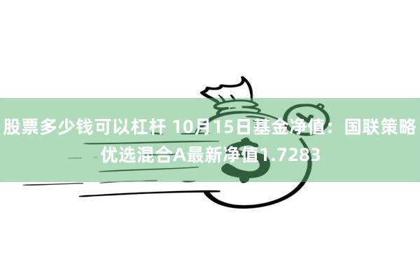 股票多少钱可以杠杆 10月15日基金净值：国联策略优选混合A最新净值1.7283