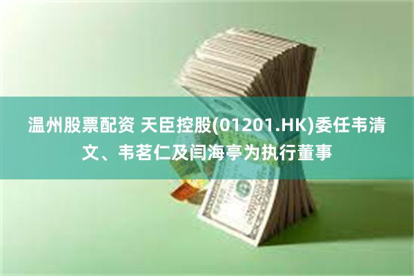 温州股票配资 天臣控股(01201.HK)委任韦清文、韦茗仁及闫海亭为执行董事