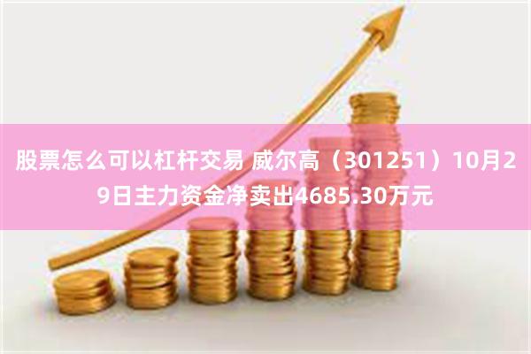 股票怎么可以杠杆交易 威尔高（301251）10月29日主力资金净卖出4685.30万元