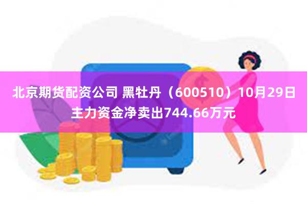 北京期货配资公司 黑牡丹（600510）10月29日主力资金净卖出744.66万元