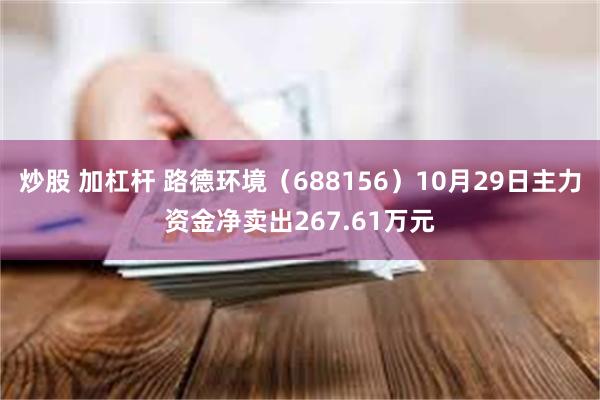 炒股 加杠杆 路德环境（688156）10月29日主力资金净卖出267.61万元