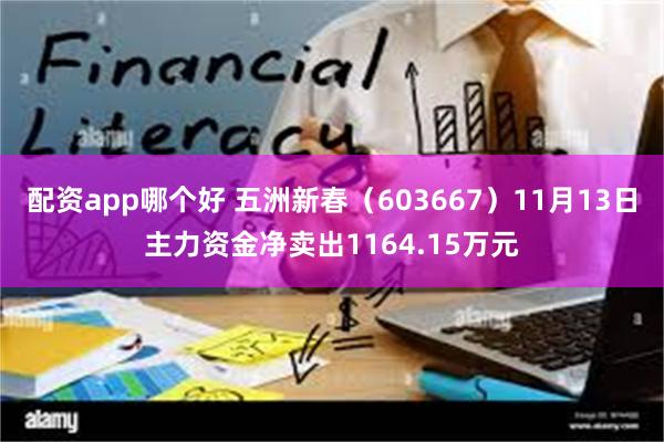 配资app哪个好 五洲新春（603667）11月13日主力资金净卖出1164.15万元