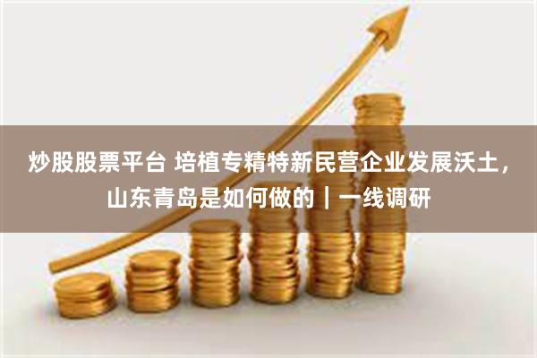 炒股股票平台 培植专精特新民营企业发展沃土，山东青岛是如何做的｜一线调研