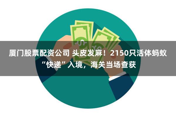 厦门股票配资公司 头皮发麻！2150只活体蚂蚁“快递”入境，海关当场查获