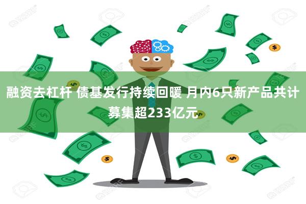 融资去杠杆 债基发行持续回暖 月内6只新产品共计募集超233亿元