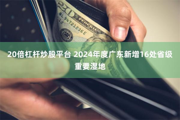 20倍杠杆炒股平台 2024年度广东新增16处省级重要湿地