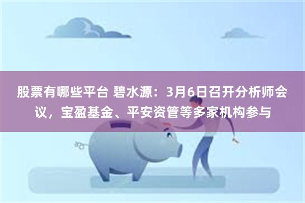 股票有哪些平台 碧水源：3月6日召开分析师会议，宝盈基金、平安资管等多家机构参与