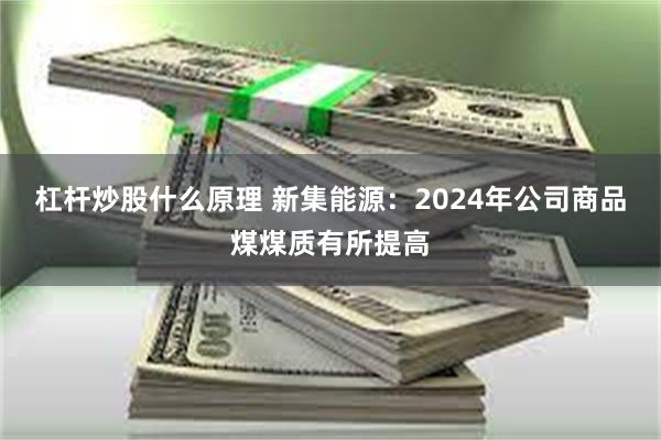 杠杆炒股什么原理 新集能源：2024年公司商品煤煤质有所提高