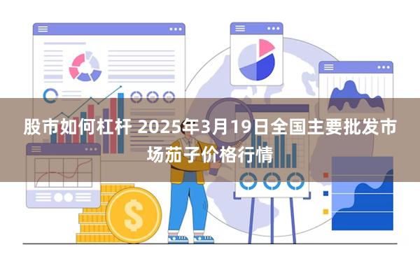 股市如何杠杆 2025年3月19日全国主要批发市场茄子价格行情